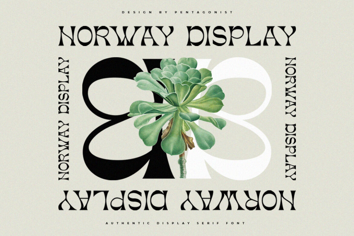 Norway Display FREE Demo Font - view 3