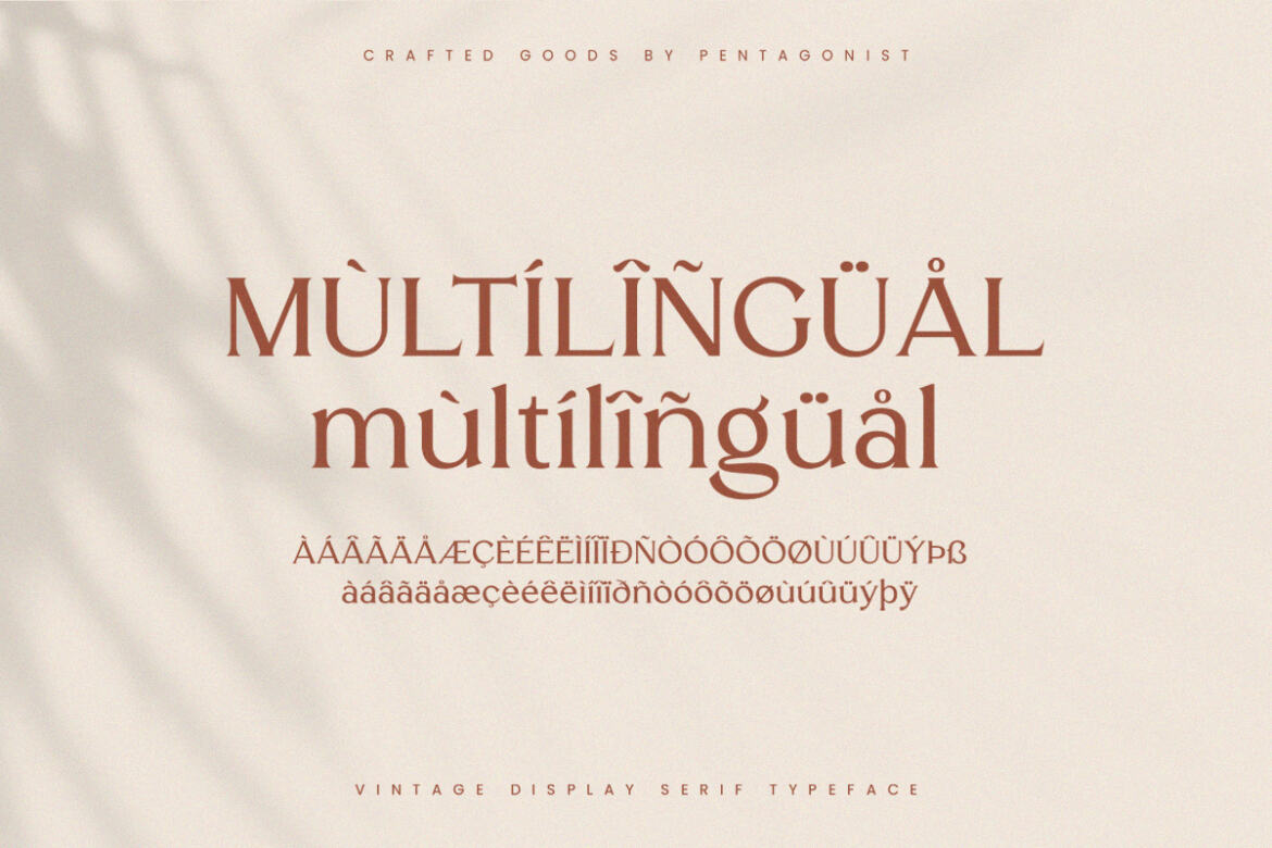 Runoka Serif FREE Demo Font - view 9