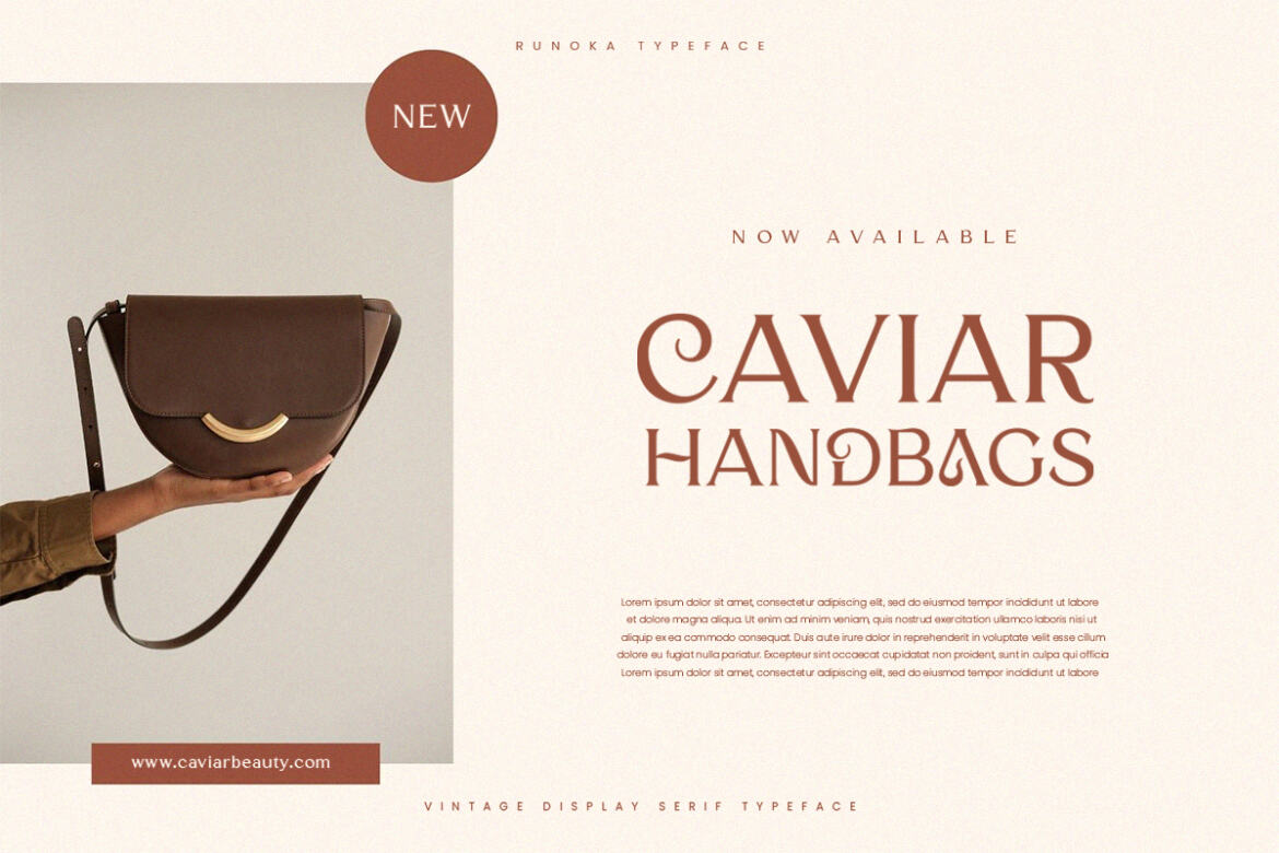 Runoka Serif FREE Demo Font - view 3