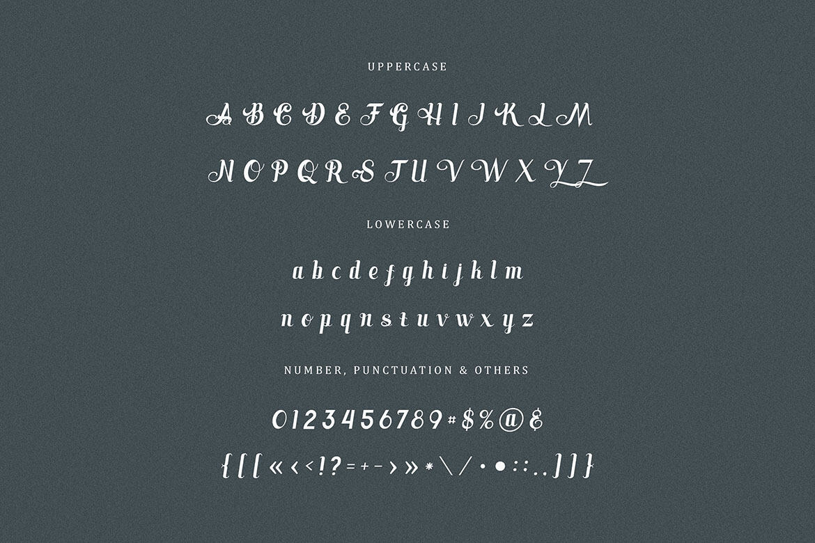 Toronto Free Retro Script - view 4