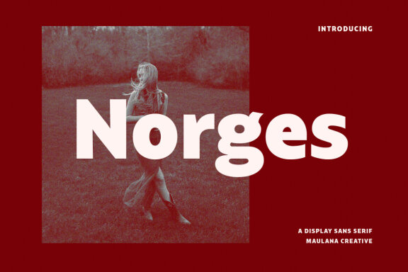 Norges Sans Serif FREE Font