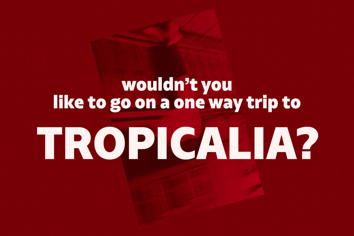 Norges Sans Serif FREE Font - view 4