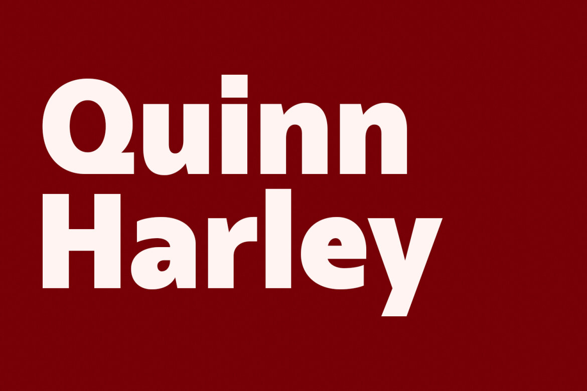 Norges Sans Serif FREE Font - view 6