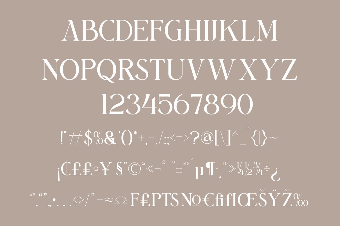 Bilargy Classic Serif FREE Font - view 14