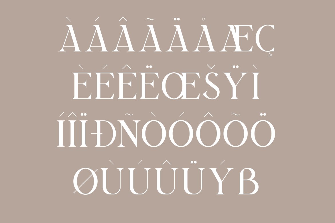 Bilargy Classic Serif FREE Font - view 12