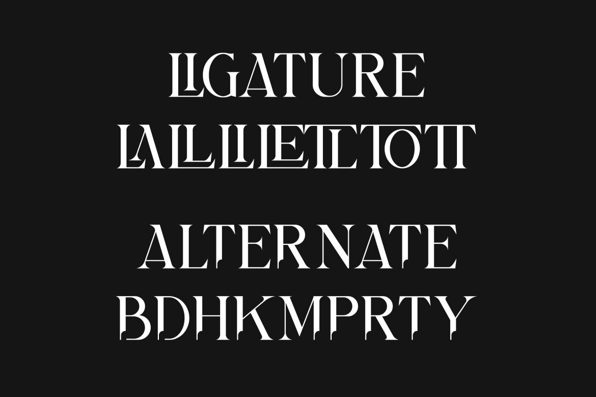 Bilargy Classic Serif FREE Font - view 13
