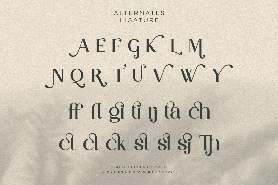 Partake FREE Demo Font - view 8