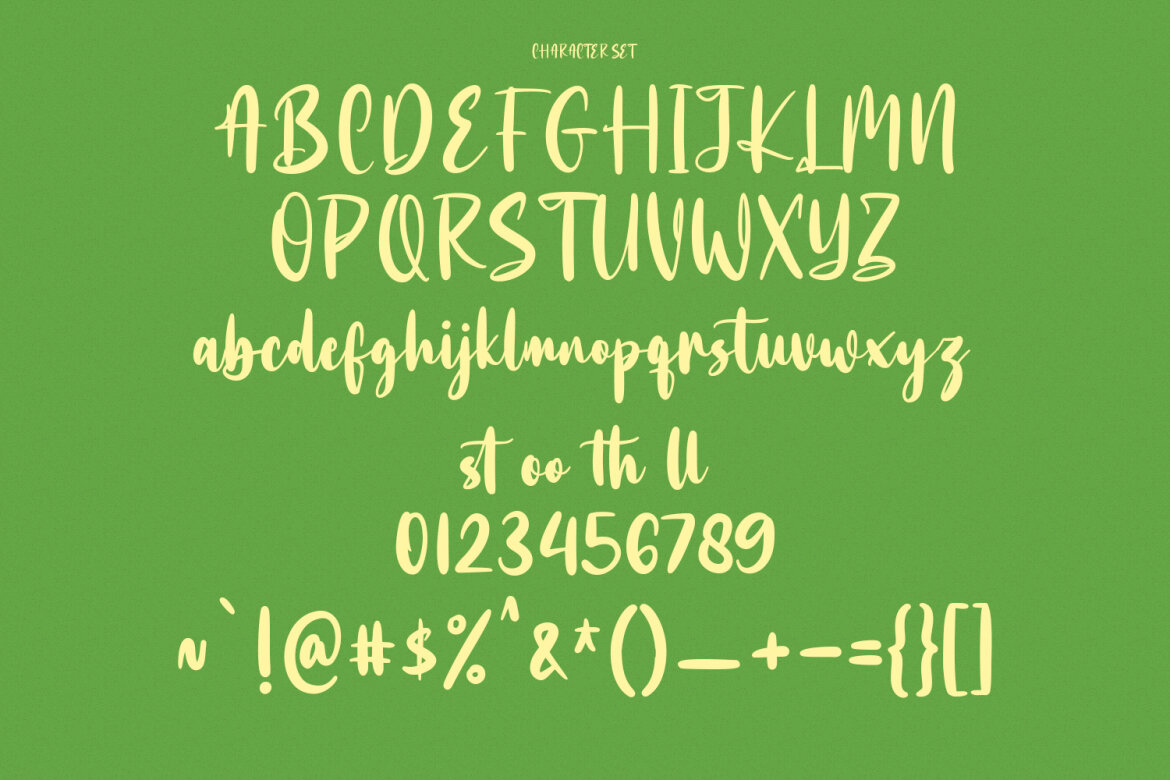 Bottairs FREE Script Font - view 8