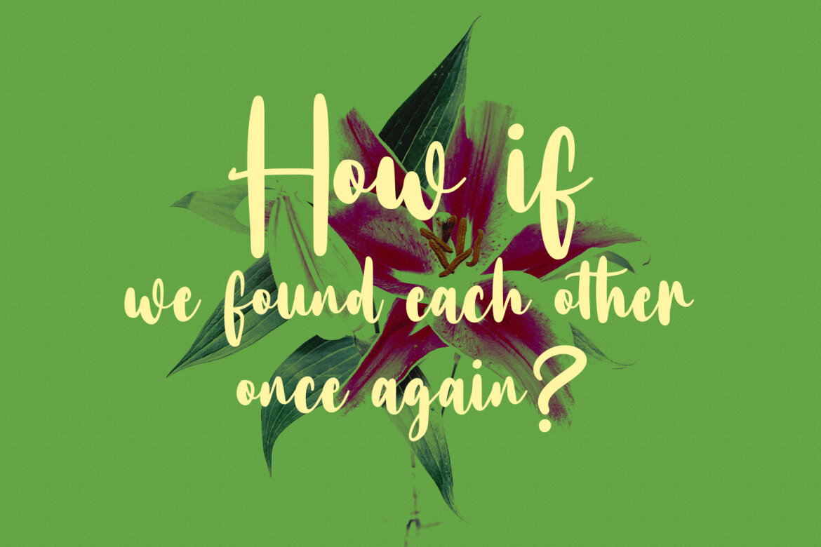 Bottairs FREE Script Font - view 4