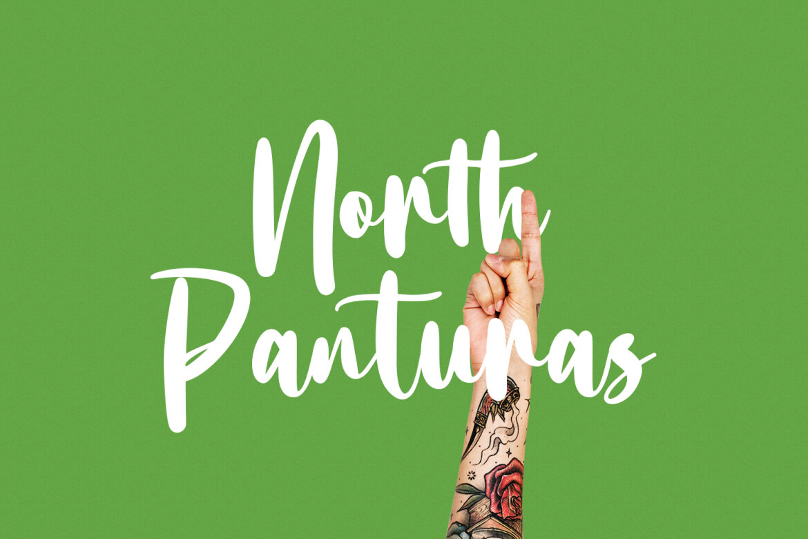 Bottairs FREE Script Font - view 6