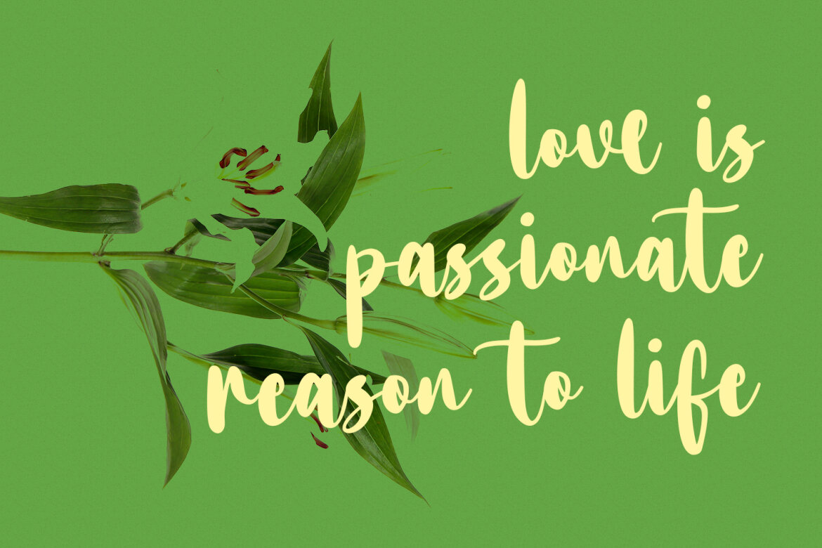 Bottairs FREE Script Font - view 5