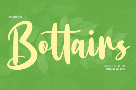 Bottairs FREE Script Font