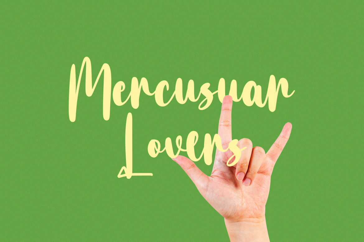 Bottairs FREE Script Font - view 7