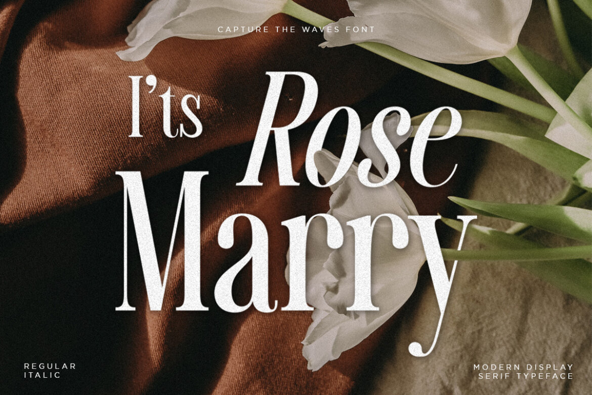 Captures The Waves | Free Demo - view 5