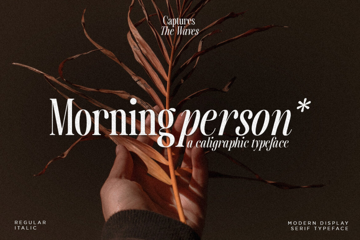 Captures The Waves | Free Demo - view 6