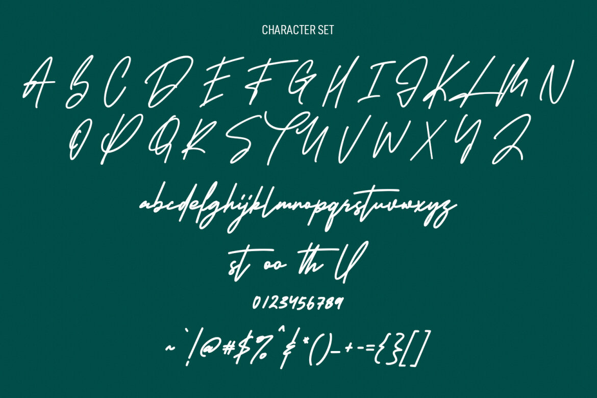 Historikal Signature FREE Script Font - view 8