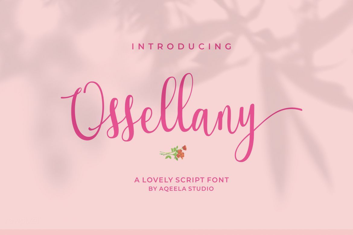Ossellany Script - view 7
