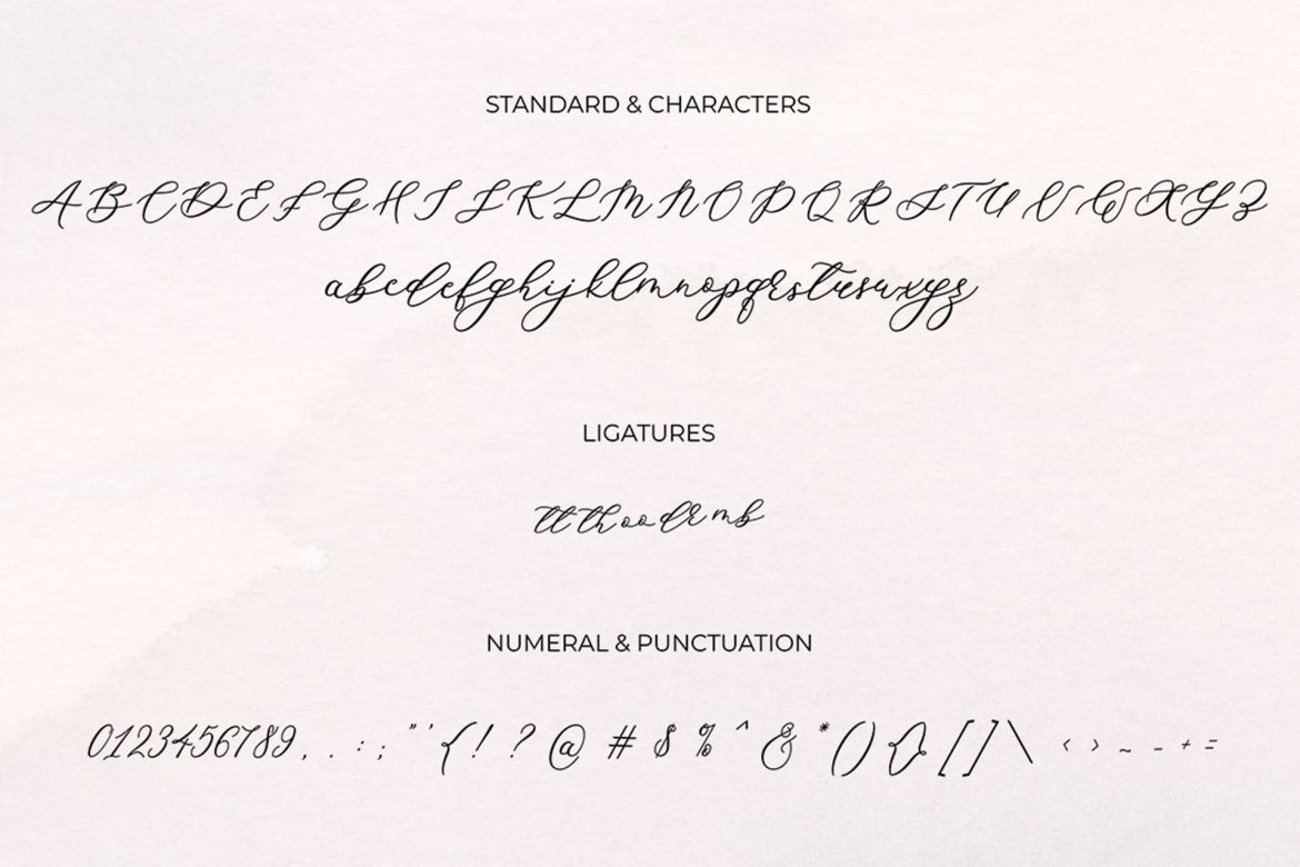 Beldon Script - view 7