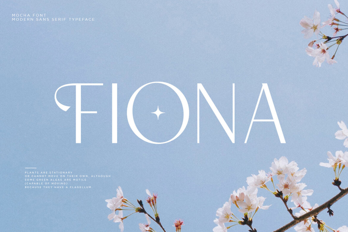 Mocha | Free DEMO Sans Font - view 4