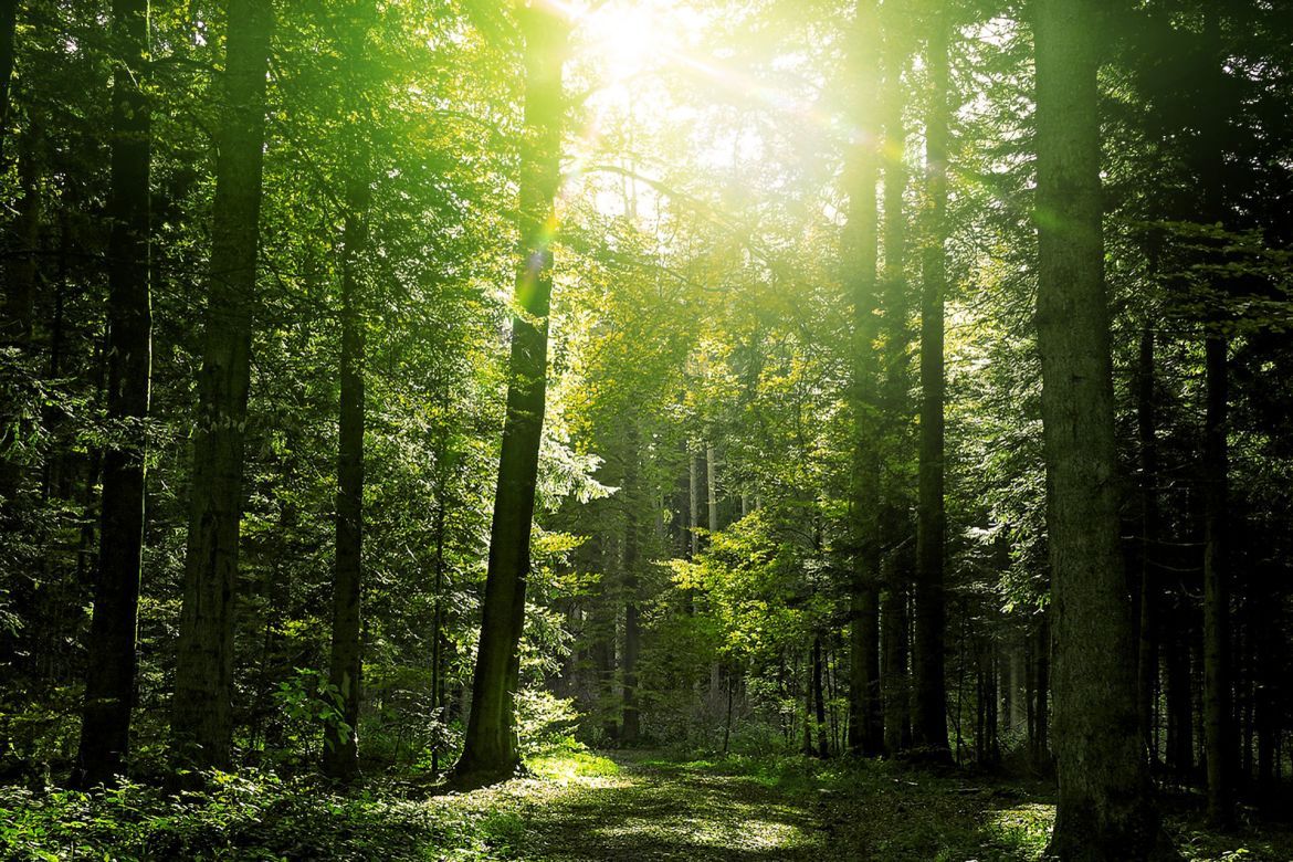 10 Optical Lens Flares - view 3