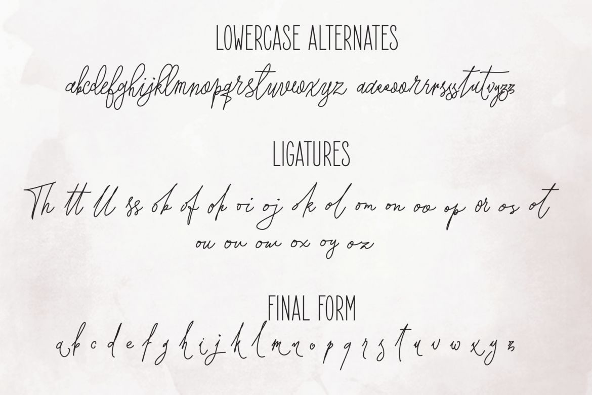 Forsythia Garden Signature Typeface - view 5