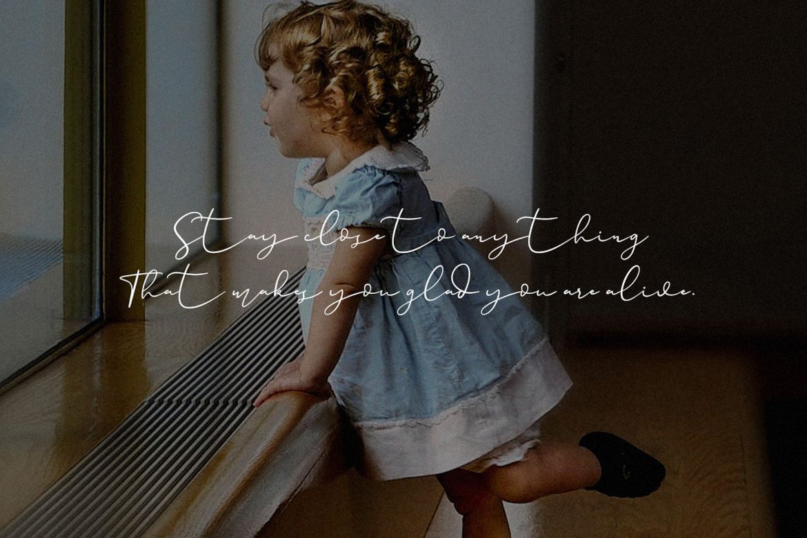 Paulina Elegance Script Font - view 9