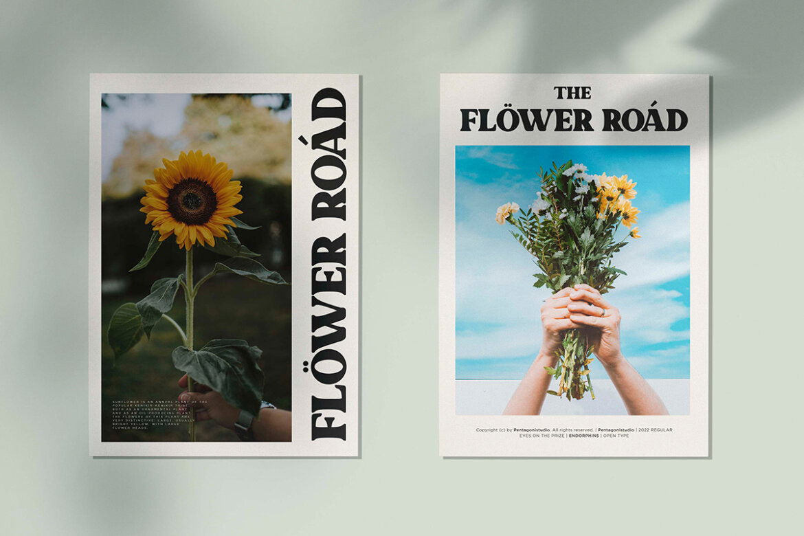 Morphins | Free Demo Serif - view 5