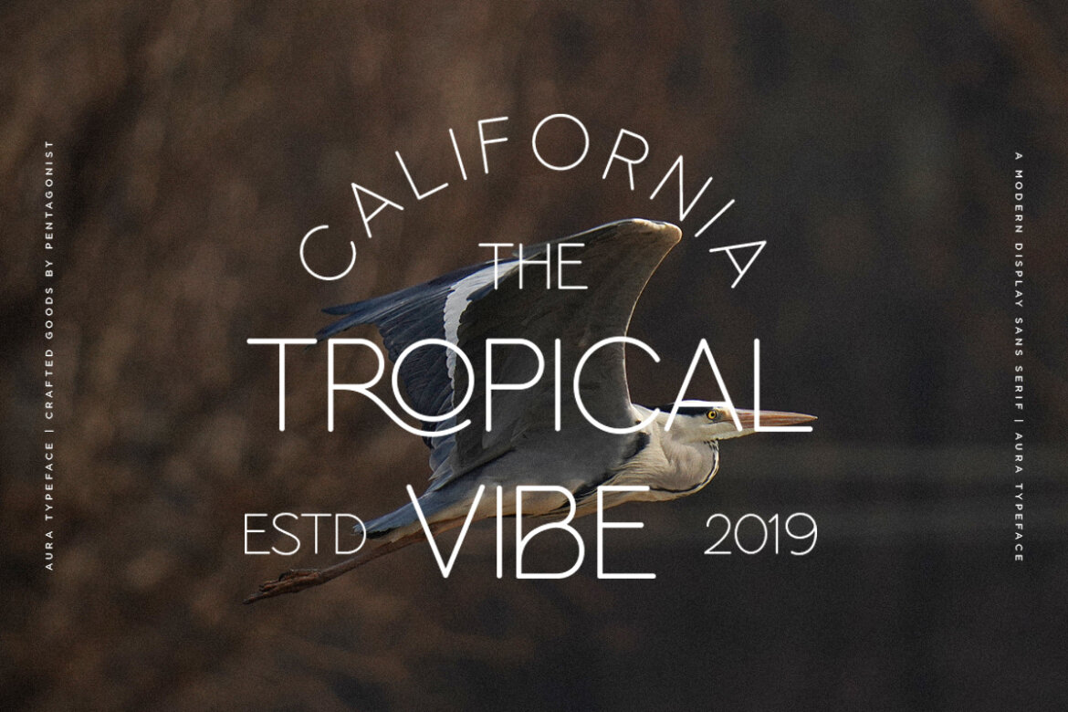 Aura | FREE Demo Round Sans - view 4