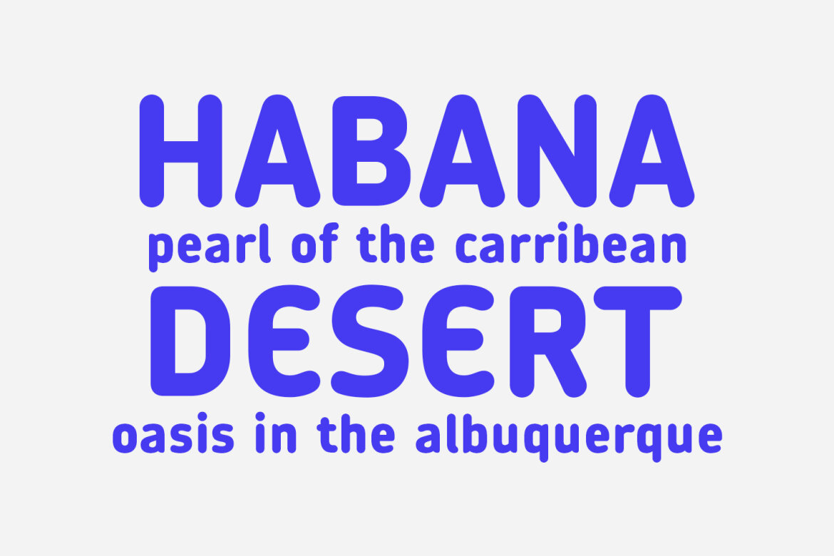 Erfink Sans FREE Font alternate