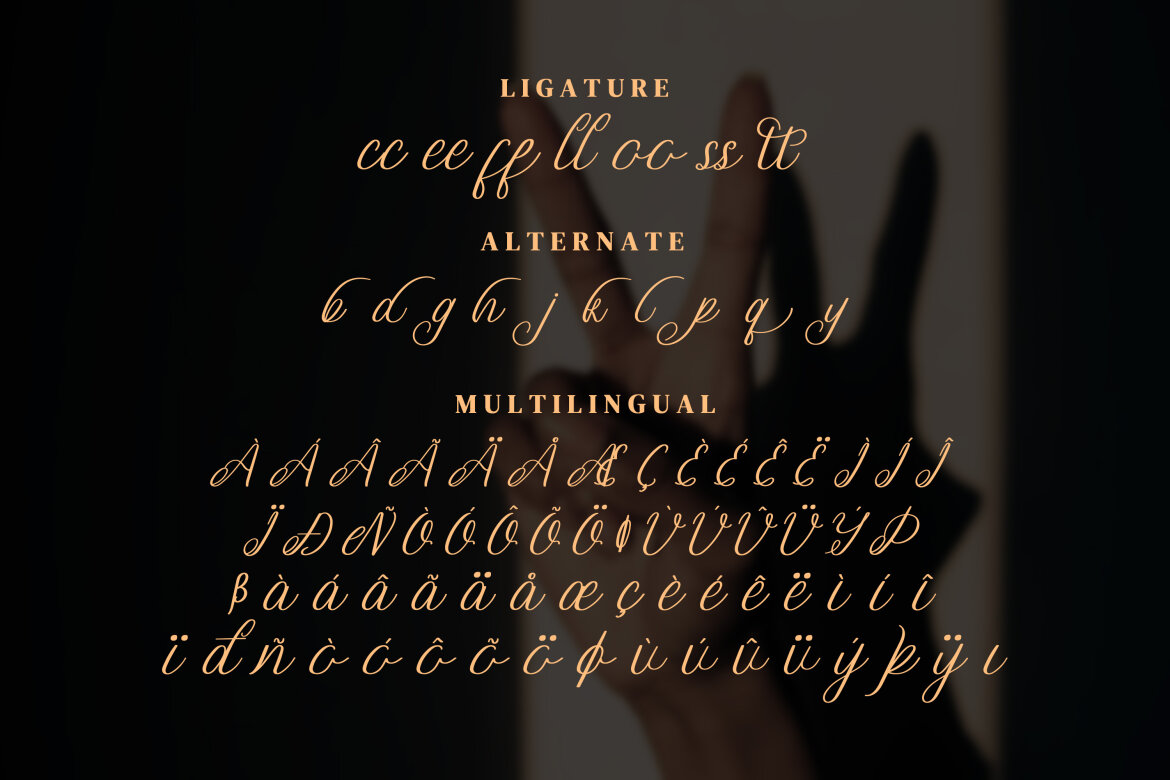 Brugundy FREE Script - view 13