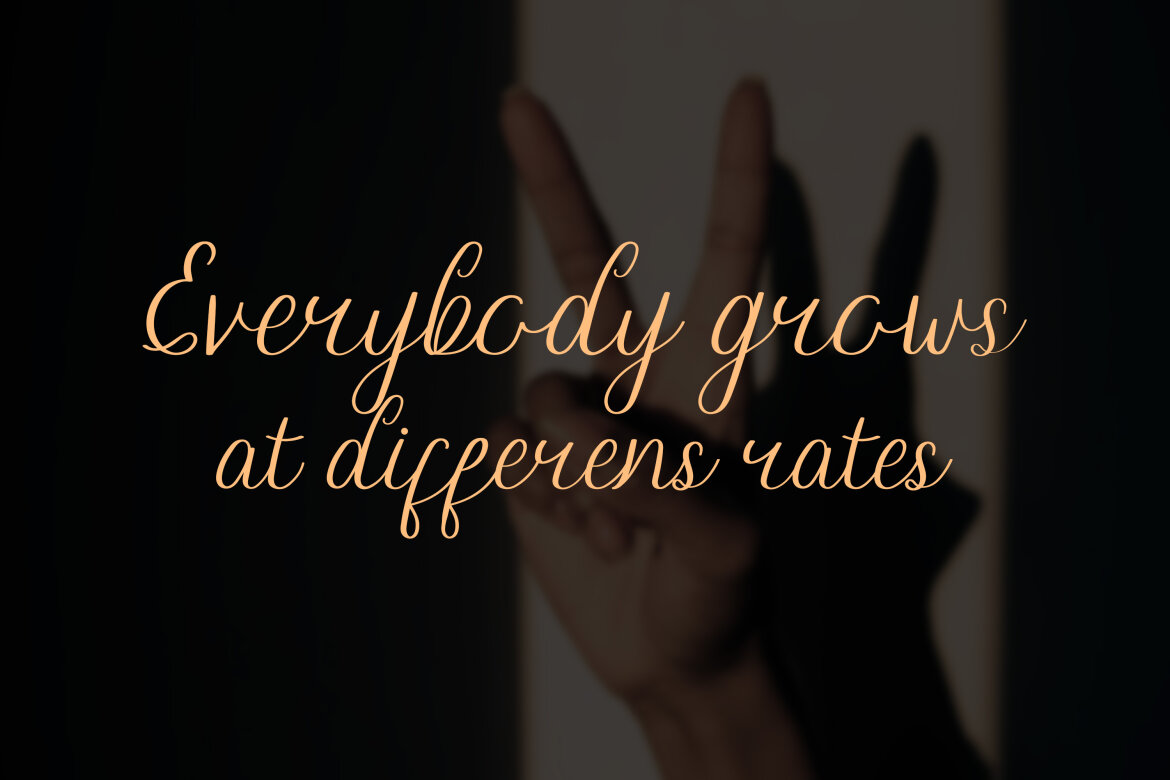 Brugundy FREE Script - view 14