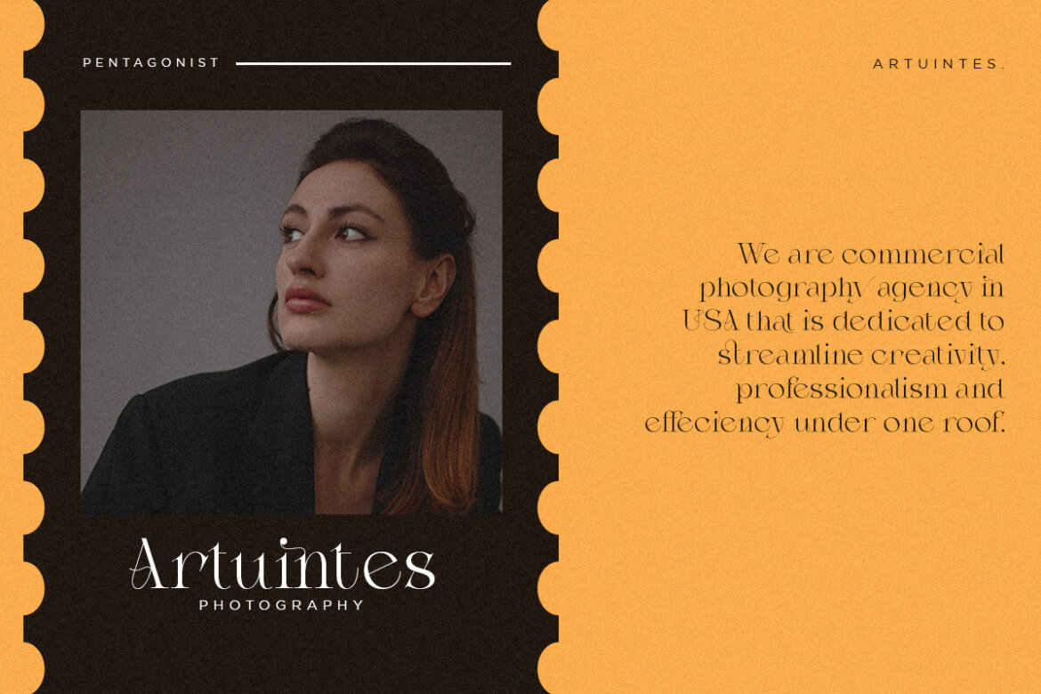 Amstine | Free DEMO Serif Font - view 5