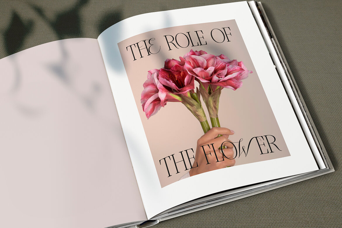 Ungaraca | FREE Demo Font - view 6