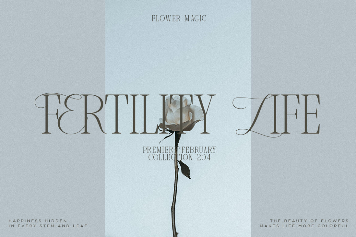 Ungaraca | FREE Demo Font - view 4