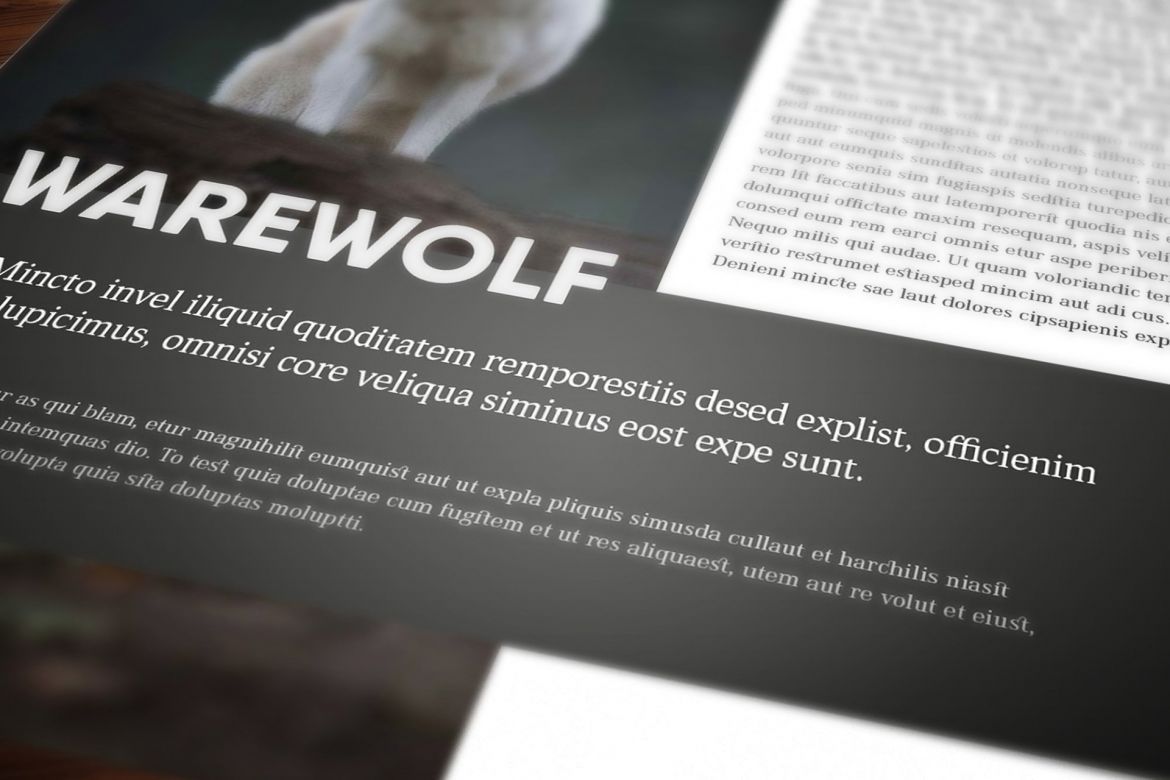 Multipurpose Magazine 7 Template - view 7