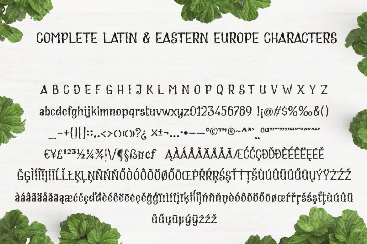 Cream Soup - Sauce Made Font - view 5