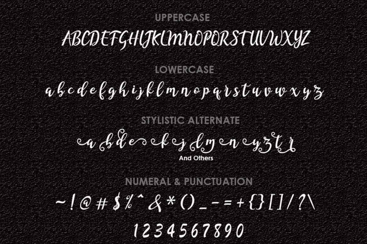 Hinella Script - view 4