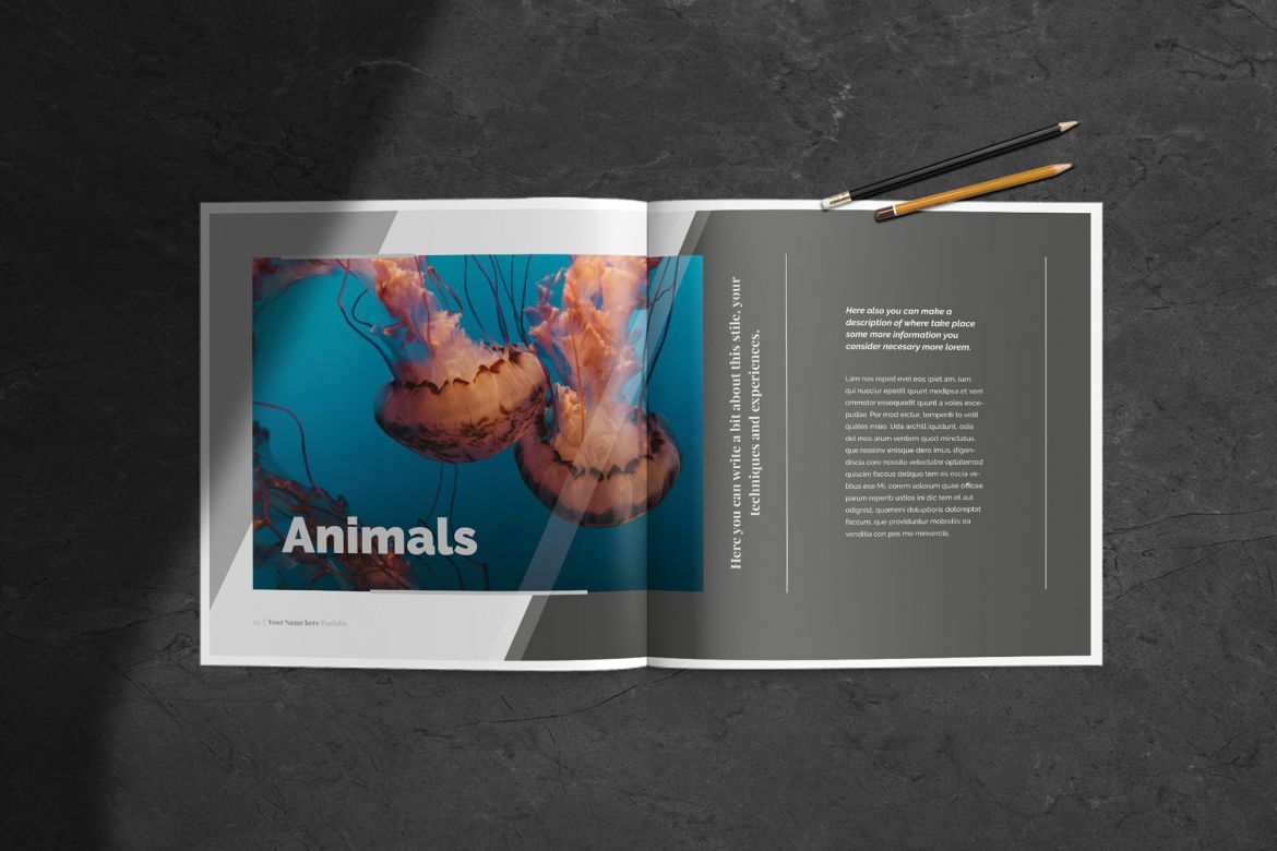 Multipurpose Porfolio Template - view 7