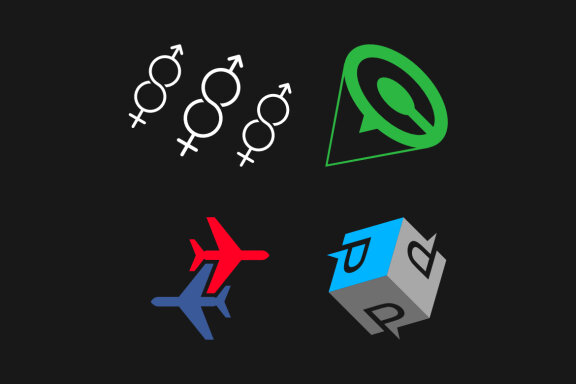 spermatozoid C chat Z plane P box