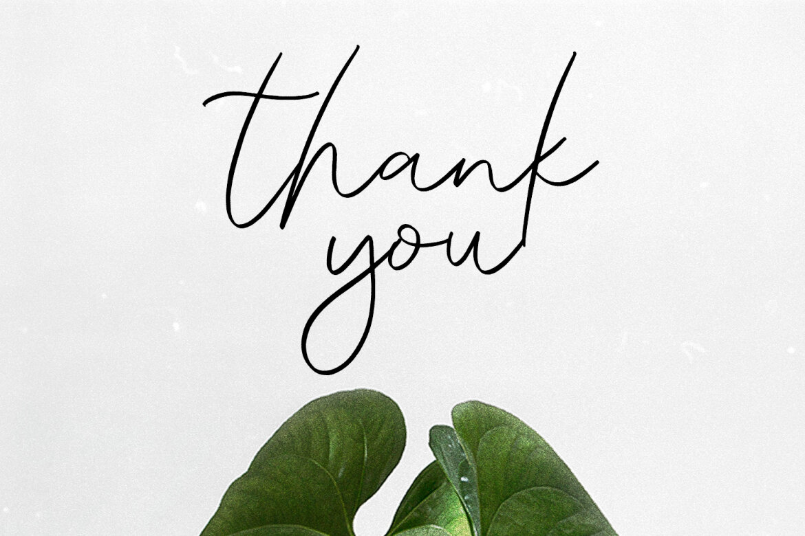 Delyndo Signature FREE Script Font - view 9