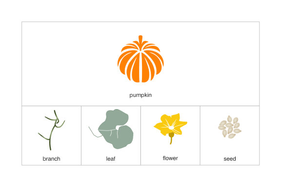 Pumpkin Elements