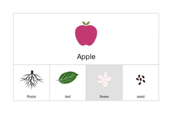 Apple Elements