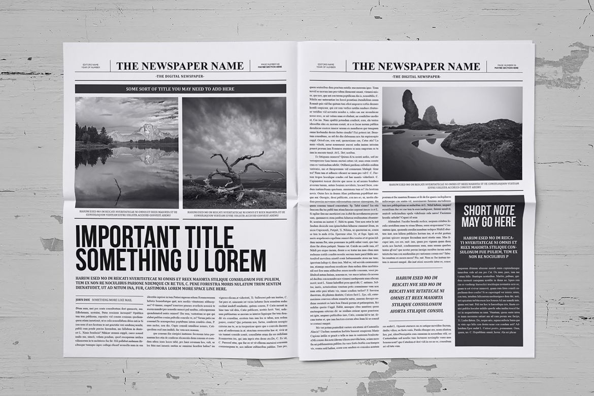 Classy Newspaper Indesign Template - view 10