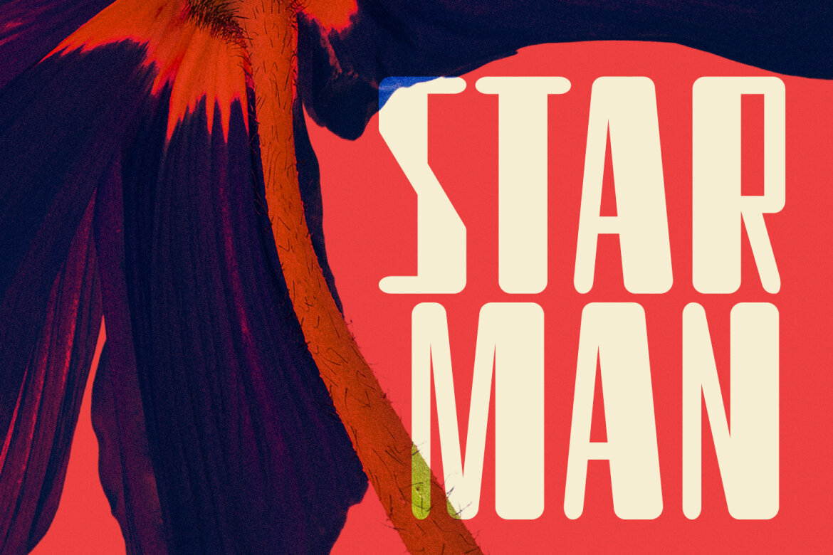 Groens Sans Display FREE Font - view 4