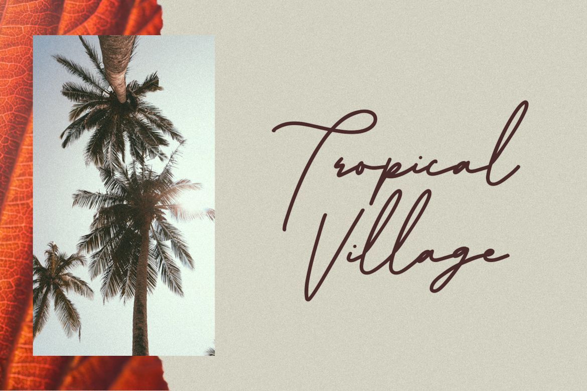 Arlobuns Signature - view 9