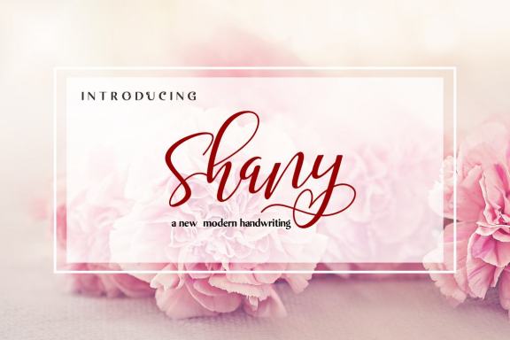 Shany - view 3
