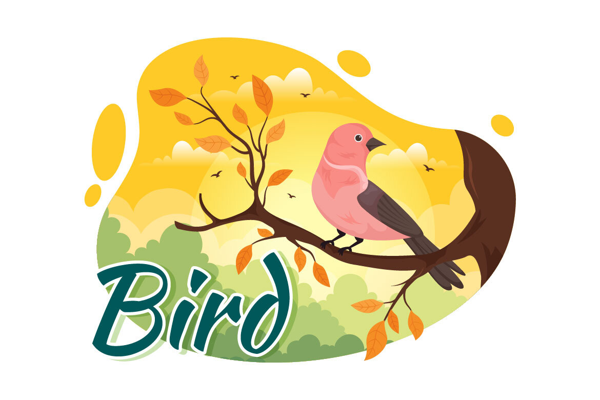 11 Bird Animal Vector FREE Illustration alternate