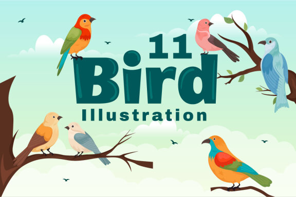 11 Bird Animal Vector FREE Illustration