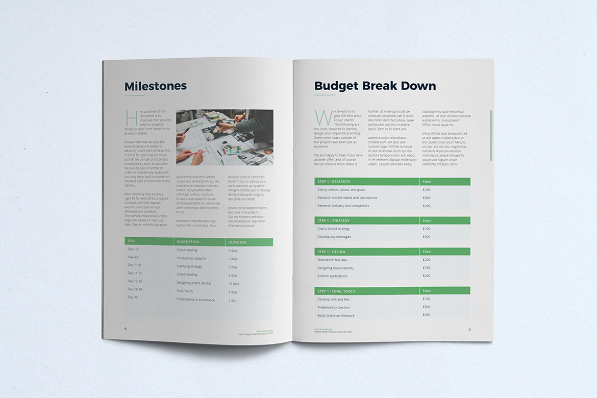 FREE Project Proposal Template - view 8