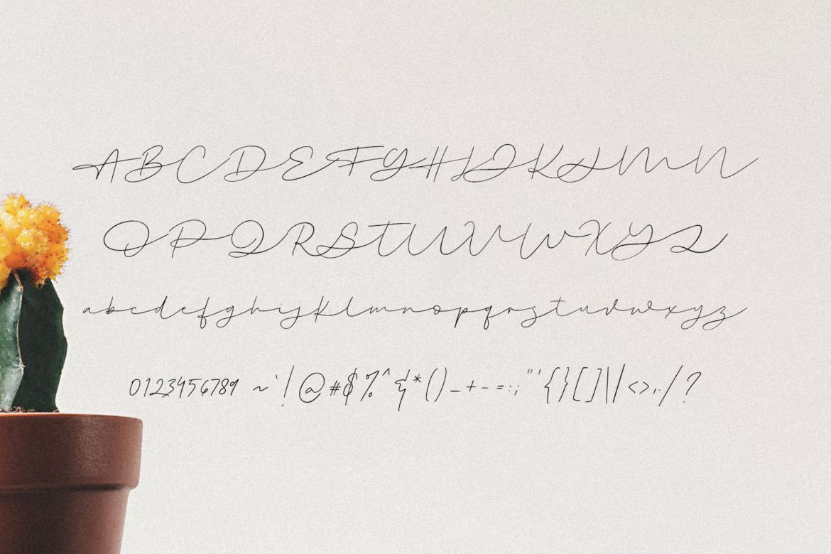 Swootys Script Font - view 10